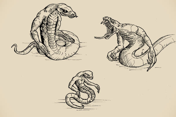 A few sketches of some snake-men