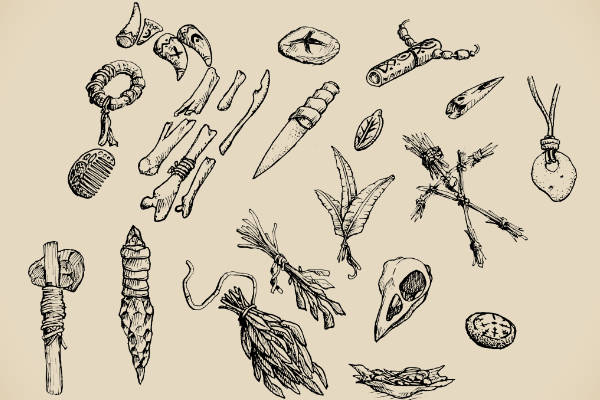 A page small items like bones, stones, plants