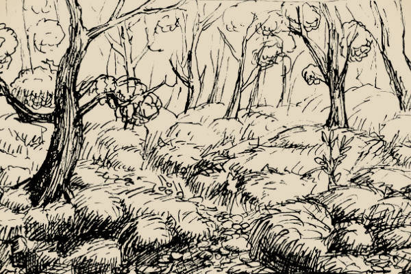 A forest landscape in ink