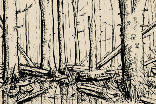 A rendering of a storm damaged forest